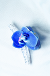 Blue Flower Hair Clutcher – Cool & Stylish Elegance